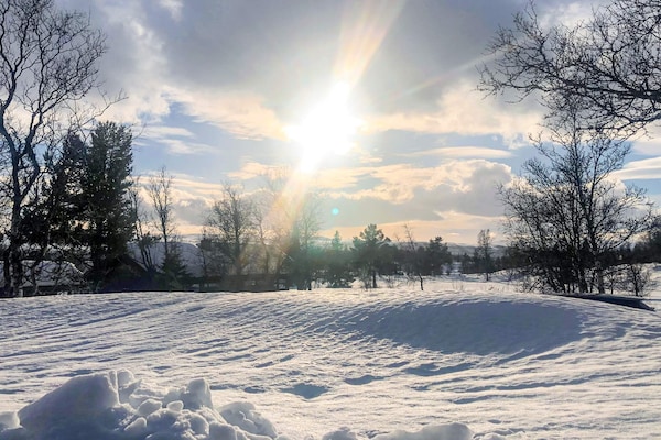 Foto van 4 sterren vakantie huis in Ål - Vakantiehuis in Ål - Untagged
