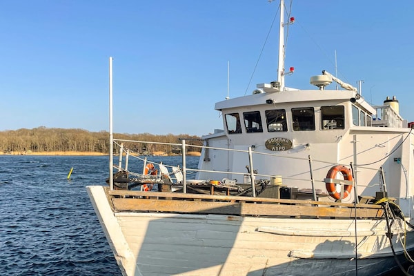 Foto van 4 sterren vakantie huis in Drottningskär - Vakantiehuis in Drottningskär - Outdoor