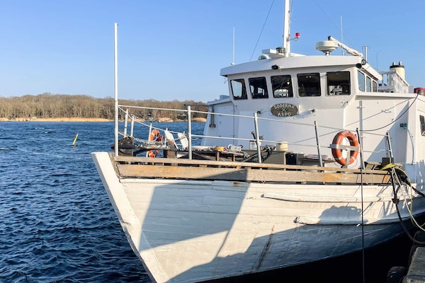 Foto van 4 sterren vakantie huis in Drottningskär - Vakantiehuis in Drottningskär - Outdoor