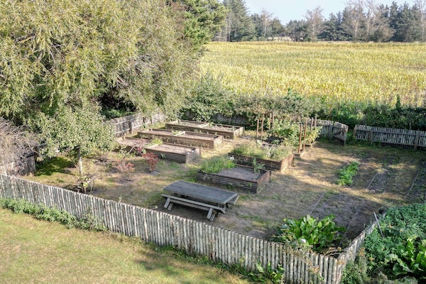 Foto van 5 sterren vakantie huis in Løkken - Vakantiehuis in Ålbæk - Outdoor