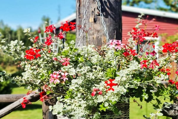 Foto van 5 Personen vakantie huis in HALLSTAVIK - Vakantiehuis in HALLSTAVIK - Outdoor
