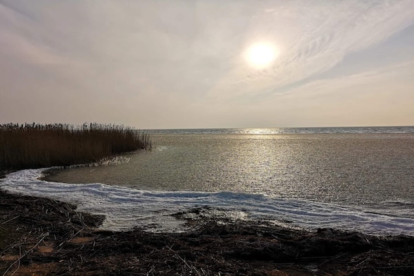 Foto van 4 Personen vakantie huis in Ringkøbing - Vakantiehuis in Ringkøbing - WaterView