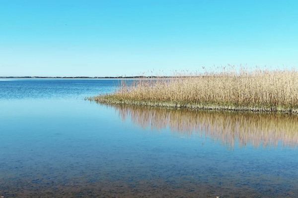 Foto van 4 Personen vakantie huis in Ringkøbing - Vakantiehuis in Ringkøbing - WaterView