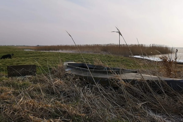 Foto van 4 Personen vakantie huis in Ringkøbing - Vakantiehuis in Ringkøbing - Untagged