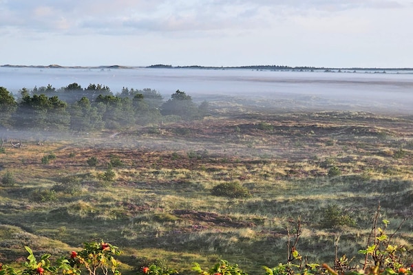Foto van 5-sterren vakantiehuis in Henne Beach - Vakantiehuis in Henne - Untagged