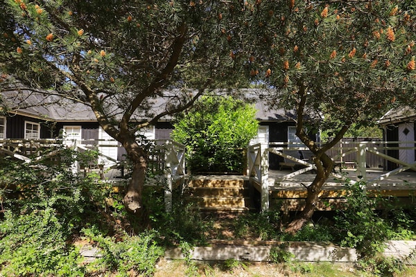 Foto van 4 sterren vakantie huis in Liseleje - Vakantiehuis in Liseleje - View