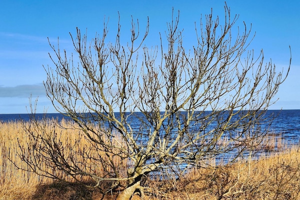 Foto van 0 Personen vakantie huis in Hemmet - Vakantiehuis in Hemmet - WaterView