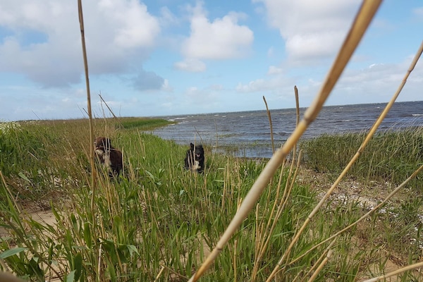 Foto van 0 Personen vakantie huis in Hemmet - Vakantiehuis in Hemmet - WaterView