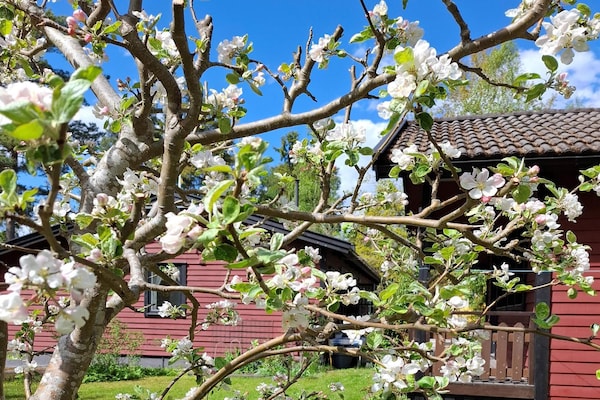 Foto van 4 sterren vakantie huis in NORRTÄLJE - Vakantiehuis in NORRTÄLJE - Outdoor