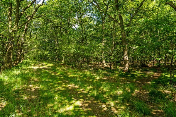Foto van 4 sterren vakantie huis in Hampen - Vakantiehuis in Hampen - Outdoor