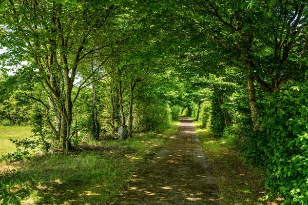 Foto van 4 Personen vakantie huis in Hampen - Vakantiehuis in Hampen - Outdoor
