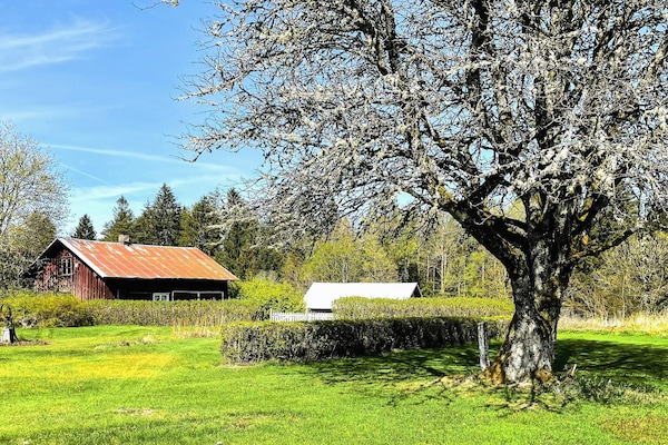 Foto van 4 sterren vakantie huis in LJUNG - Vakantiehuis in LJUNG - Outdoor