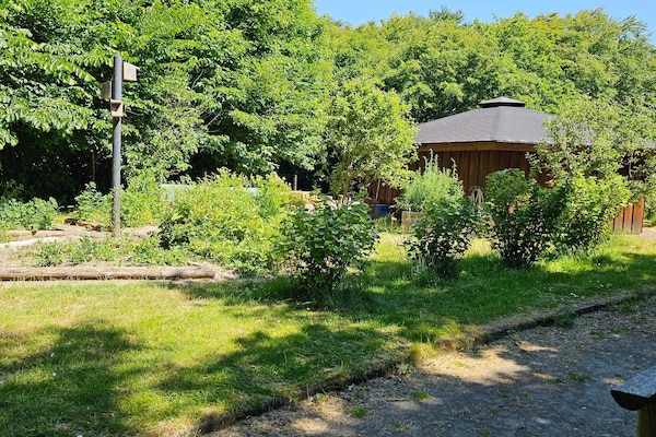 Foto van 2 persoons vakantieparkhuis in Lemvig - Vakantiehuis in Lemvig - View