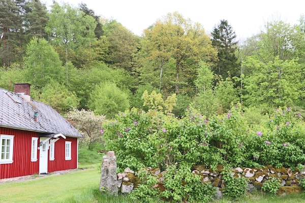 Foto van 6 Personen vakantie huis in VESSIGEBRO - Vakantiehuis in VESSIGEBRO - Outdoor