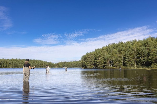 Foto van Huisje aan het meer van Gardsjon Lidsjoberg - Vakantiehuis in Lidsjöberg - Outdoor