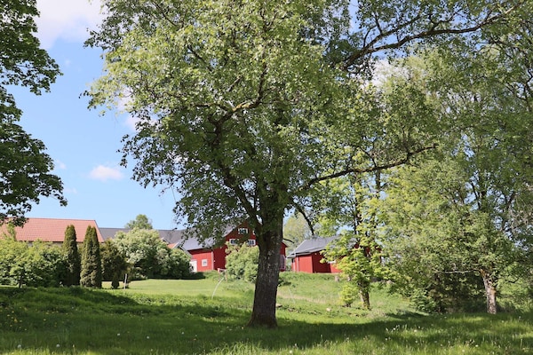 Foto van 4 Personen vakantie huis in ULLARED - Vakantiehuis in ULLARED - Outdoor