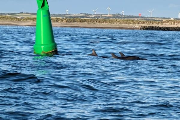 Foto van 4 Personen vakantie huis in Thyborøn - Vakantiehuis in Thyborøn - Outdoor