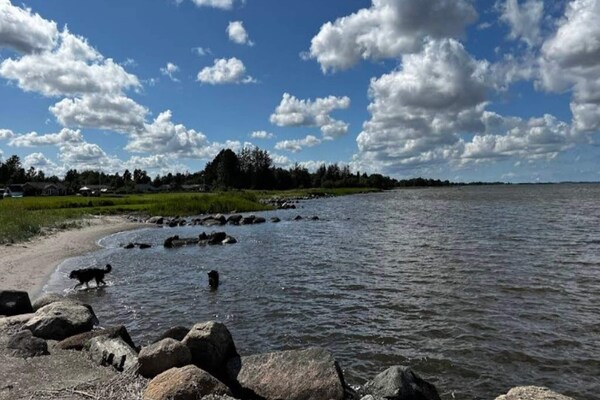 Foto van 4 Personen vakantie huis in Thyborøn - Vakantiehuis in Thyborøn - Outdoor