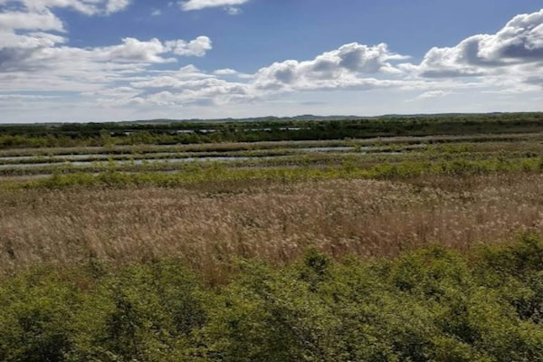 Foto van 4 Personen vakantie huis in Thyborøn - Vakantiehuis in Thyborøn - Outdoor