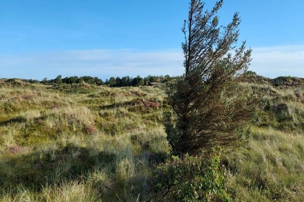 Foto van 4 Personen vakantie huis in Thyborøn - Vakantiehuis in Thyborøn - Outdoor