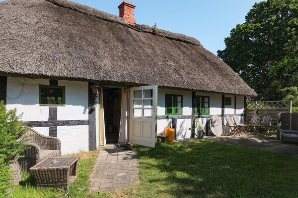 Foto van 6 Personen vakantie huis in Læsø - Vakantiehuis in Læsø - View