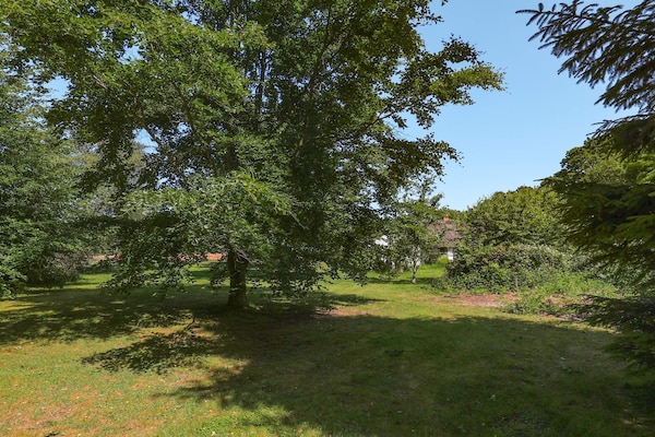 Foto van 6 Personen vakantie huis in Læsø - Vakantiehuis in Læsø - View
