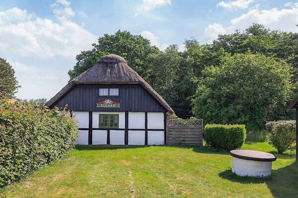 Foto van 6 Personen vakantie huis in Læsø - Vakantiehuis in Læsø - View