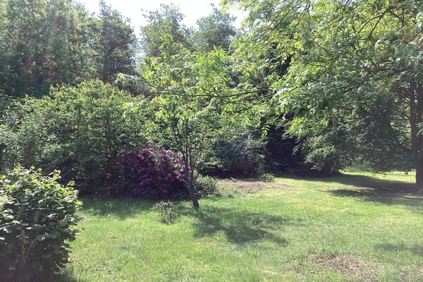 Foto van 6 Personen vakantie huis in Læsø - Vakantiehuis in Læsø - Outdoor