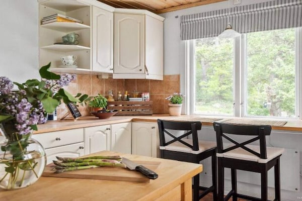 Foto van Huis met gastenverblijf en tuin - Vakantiehuis in Fågelmara - Indoor