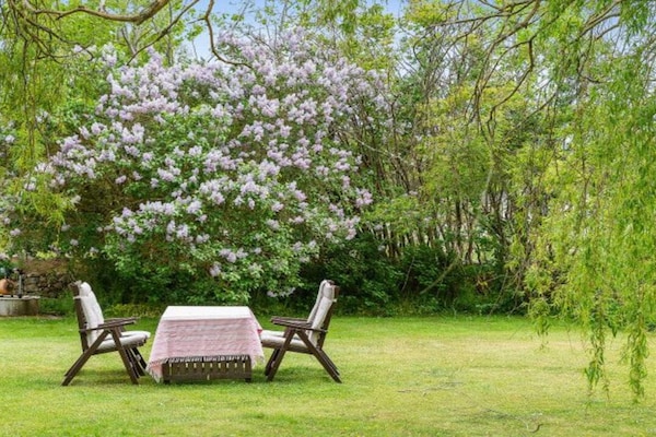 Foto van Huis met gastenverblijf en tuin - Vakantiehuis in Fågelmara - Outdoor