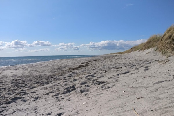 Foto van 4 persoons vakantie huis in Læsø-By Traum - Vakantiehuis in Læsø - WaterView