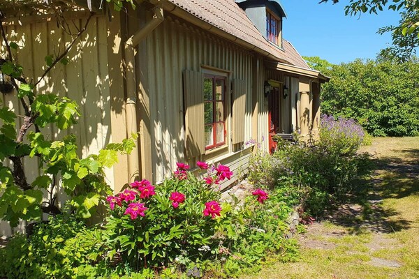 Foto van 4 sterren vakantie huis in Fågelmara - Vakantiehuis in Fågelmara - Outdoor