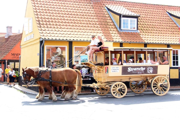 Foto van 6 Personen vakantie huis in Svaneke - Vakantiehuis in Svaneke - Outdoor