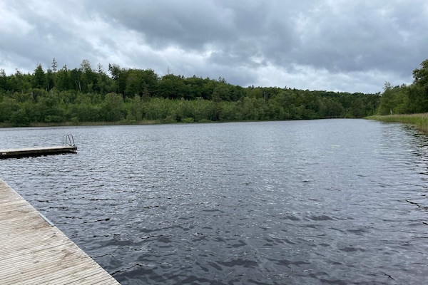 Foto van Rustig bosretraite met huisje - Vakantiehuis in ARKELSTORP - Untagged