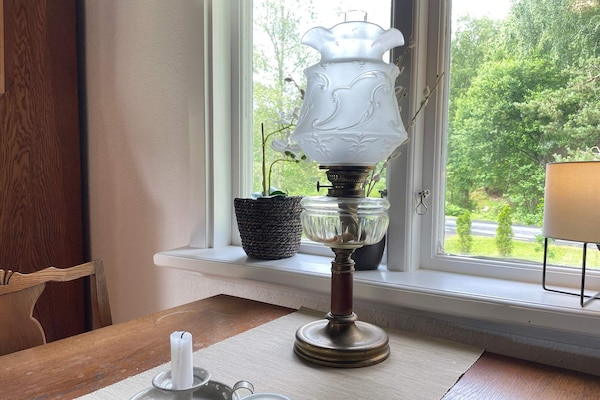 Foto van Rustig bosretraite met huisje - Vakantiehuis in ARKELSTORP - Indoor