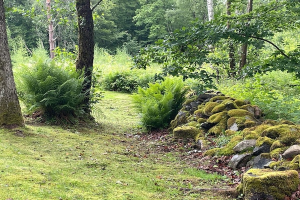 Foto van Rustig bosretraite met huisje - Vakantiehuis in ARKELSTORP - Outdoor