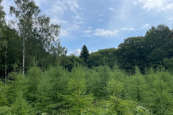 Foto van Rustig bosretraite met huisje - Vakantiehuis in ARKELSTORP - Outdoor