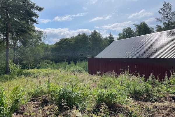 Foto van Rustig bosretraite met huisje - Vakantiehuis in ARKELSTORP - Outdoor