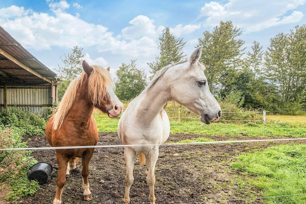 Foto van 6 Personen vakantie huis in Gram - Vakantiehuis in Gram - View