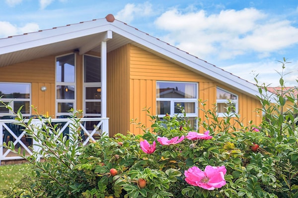Foto van 4 sterren vakantie huis in FRIEDRICHKOOG - Vakantiehuis in FRIEDRICHKOOG - Outdoor