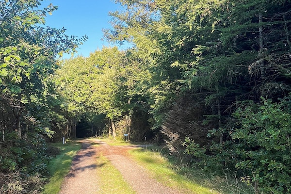 Foto van 4 sterren vakantie huis in Løgstør - Vakantiehuis in Løgstør - View