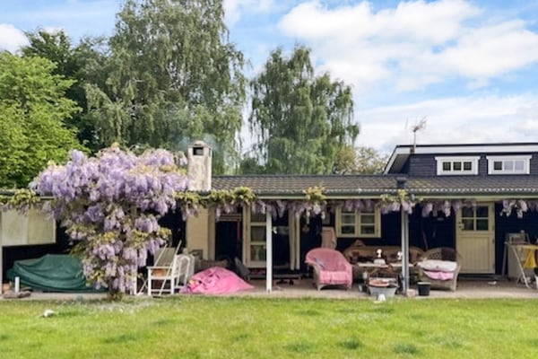 Foto van 4 sterren vakantie huis in Gilleleje - Vakantiehuis in Gilleleje - Outdoor