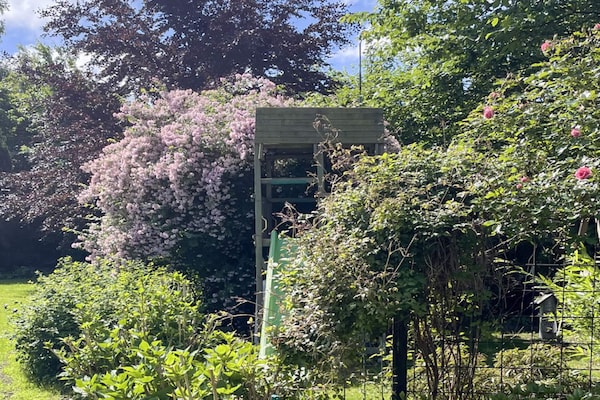 Foto van 4 sterren vakantie huis in Gilleleje - Vakantiehuis in Gilleleje - Outdoor