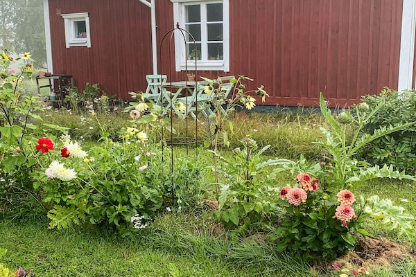 Foto van 5 Personen vakantie huis in FLISBY - Vakantiehuis in FLISBY - Outdoor