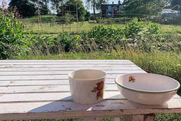 Foto van 5 Personen vakantie huis in FLISBY - Vakantiehuis in FLISBY - Outdoor