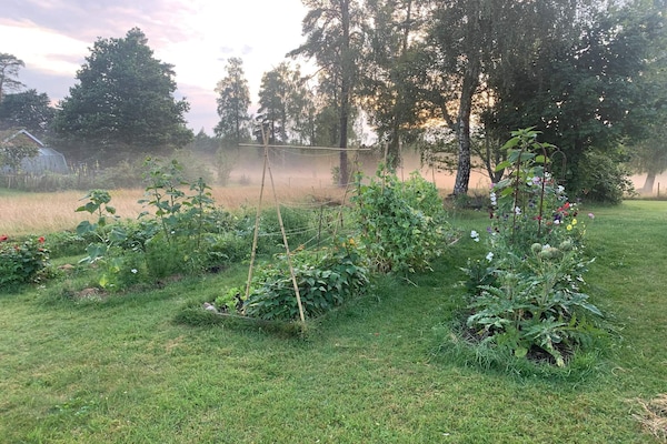 Foto van 5 Personen vakantie huis in FLISBY - Vakantiehuis in FLISBY - Outdoor