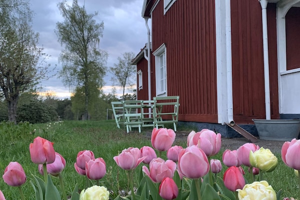 Foto van 5 Personen vakantie huis in FLISBY - Vakantiehuis in FLISBY - Outdoor