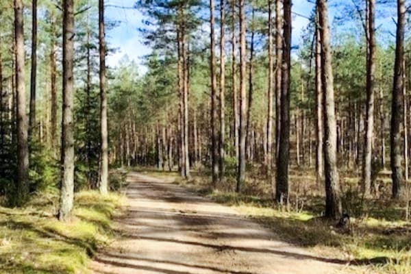 Foto van 5 Personen vakantie huis in Tving - Vakantiehuis in Tving - Outdoor