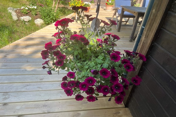 Foto van 4 sterren vakantie huis in VÄRMDÖ - Vakantiehuis in VÄRMDÖ - Outdoor