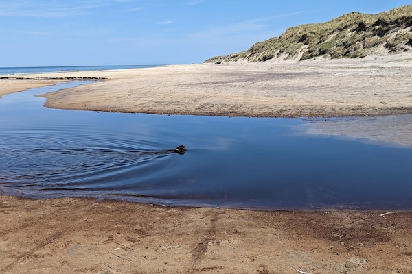 Foto van 6 persoons vakantie huis in Hirtshals-By Traum - Vakantiehuis in Hirtshals - WaterView